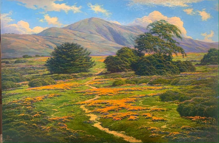 Montana De Oro Poppies 24x36 Foslien